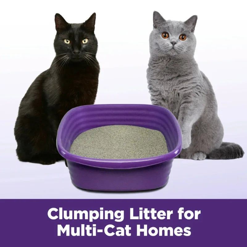 (2 or 1 pack) ARM & HAMMER Clump & Seal SLIDE Cat Litter, Easy Clean-up Multi-Cat Clumping Litter, 38 lbs