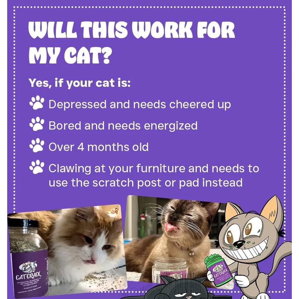 100% Natural Catnip Blend North American Made Non-GMO Cat Treats Inducing Zoomies Safe Non-Addictive Fresh Acrobatic Feline Fun
