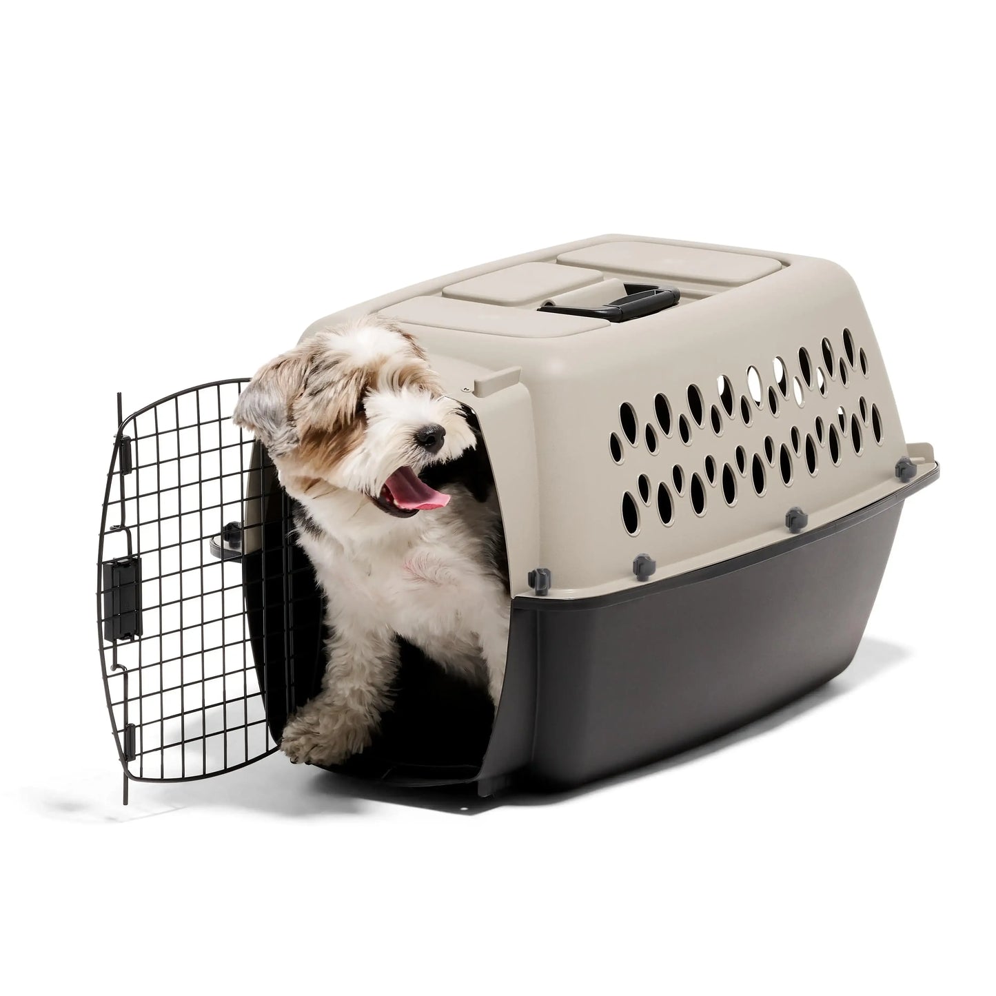 Dog Kennel Plastic Portable Travel Crate Airline Friendly Pet Carrier, Small 24" for Pets 10-20 lbs, Taupe/Black