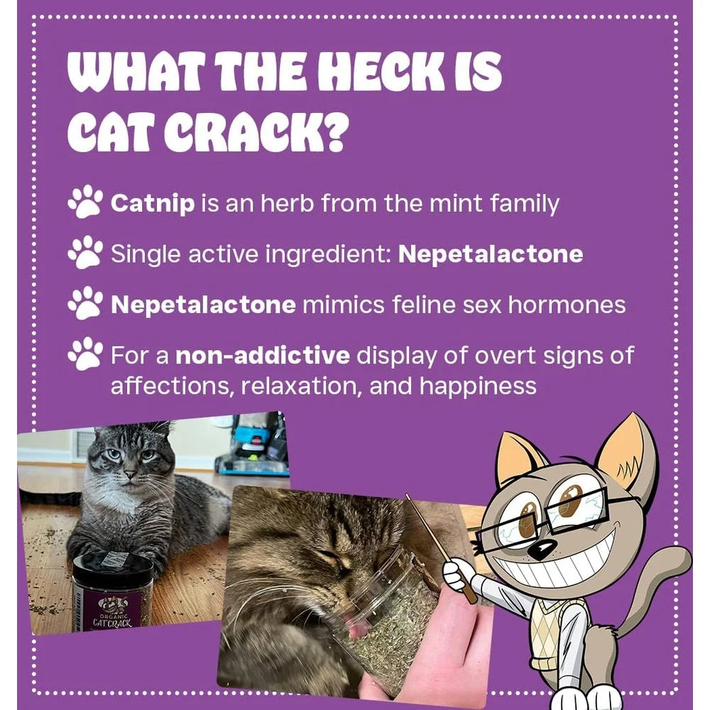100% Natural Catnip Blend North American Made Non-GMO Cat Treats Inducing Zoomies Safe Non-Addictive Fresh Acrobatic Feline Fun