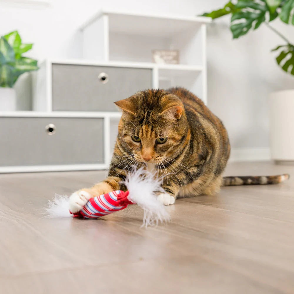 Cat Toys