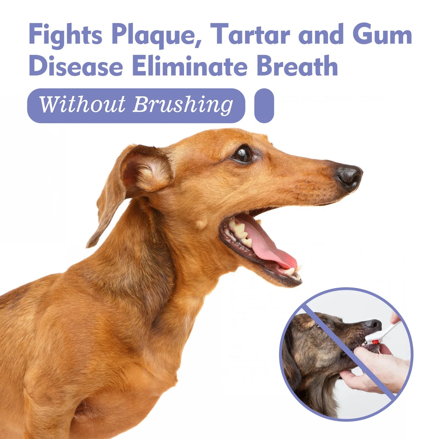Whitening | Breath Freshening | Stain Removal 
Keep your pet’s smile clean and fresh with this easy-to-use oral spray. Designed for both cats and dogs, it helps:
🦷 Whiten teeth and reduce visible stains
😮‍💨 Elimi