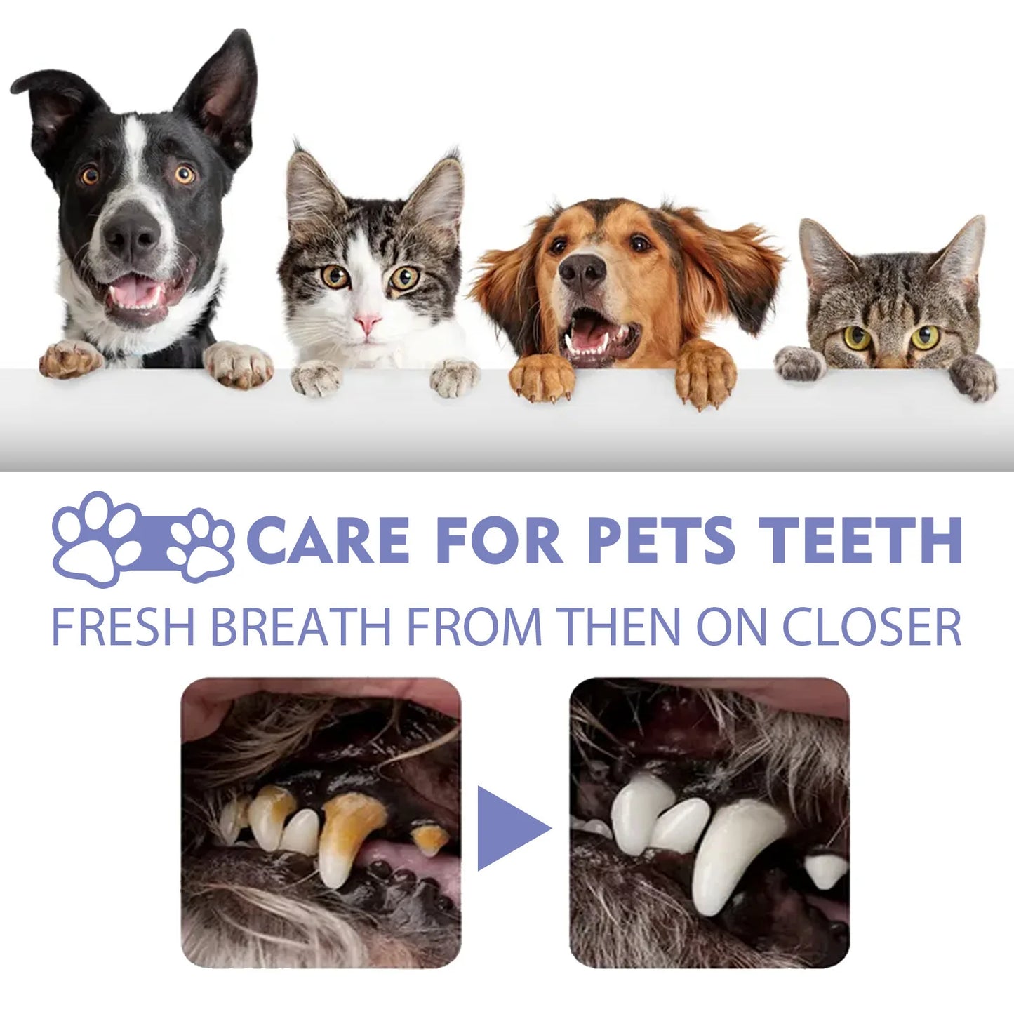 Whitening | Breath Freshening | Stain Removal 
Keep your pet’s smile clean and fresh with this easy-to-use oral spray. Designed for both cats and dogs, it helps:
🦷 Whiten teeth and reduce visible stains
😮‍💨 Elimi