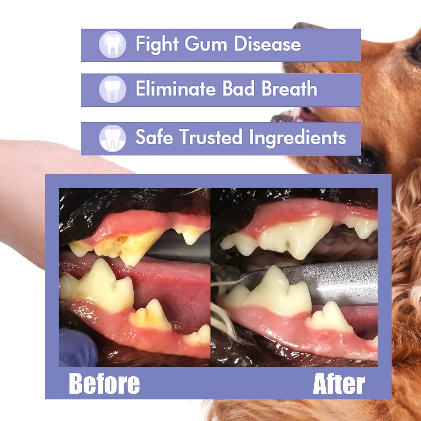 Whitening | Breath Freshening | Stain Removal 
Keep your pet’s smile clean and fresh with this easy-to-use oral spray. Designed for both cats and dogs, it helps:
🦷 Whiten teeth and reduce visible stains
😮‍💨 Elimi