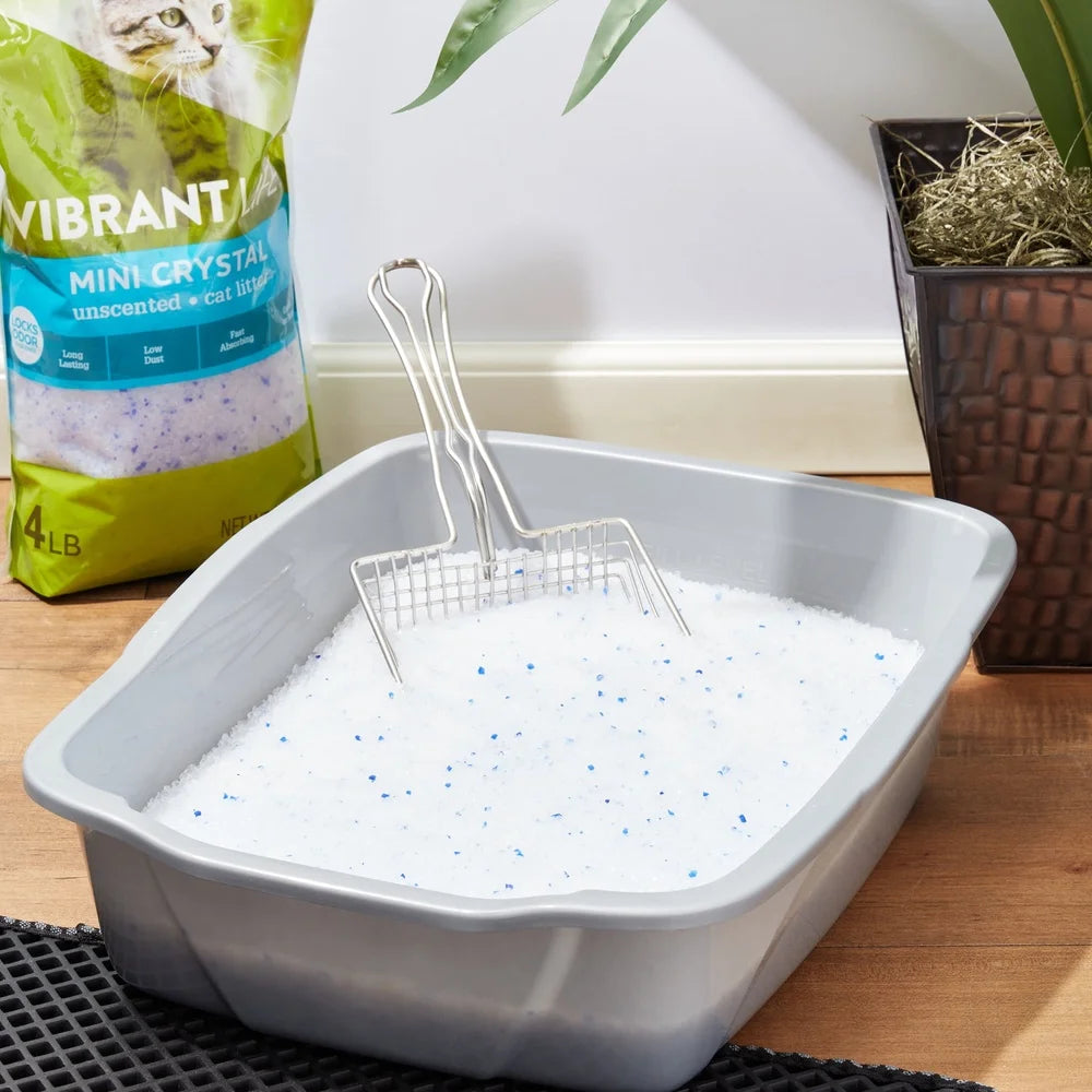 Mini Crystal Cat Litter Unscented 4 lb Long Lasting Fast Absorbing Low Dust Gentle on Paws Odor Locking Pebbles