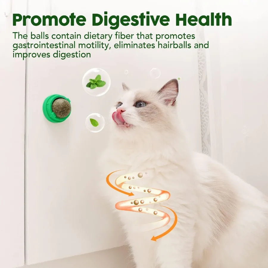 Catnip Toys Balls 4 Pcs Extra Cat Energy Ball Edible Kitten Silvervine Toys for Cats Lick Healthy Kitty Teeth Cleaning Dental C