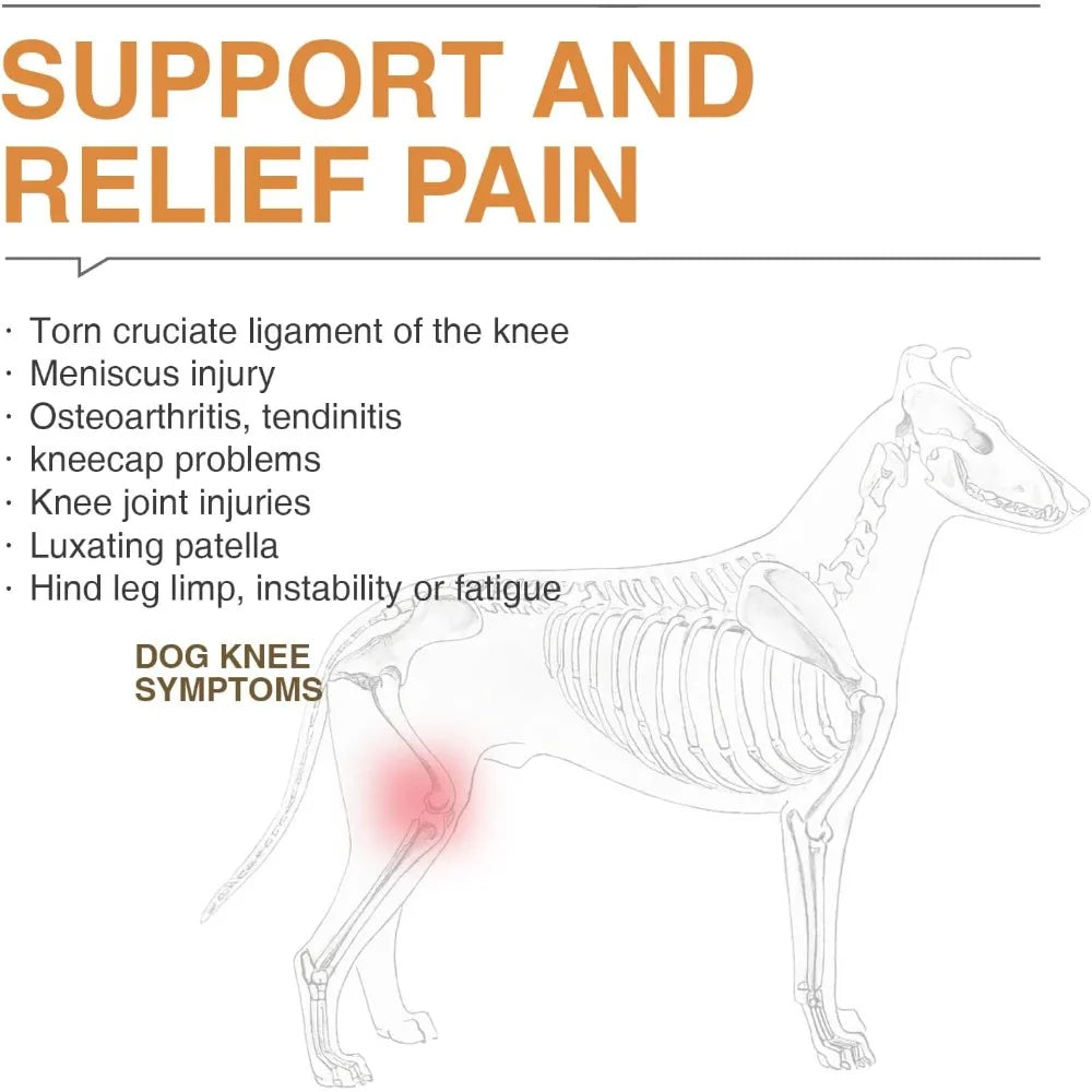 Free Delivery - Dog Knee Brace for ACL Support - Stabilizing Patella, Arthritis&Joint Pain Relief - Breathable Supportive Fabric