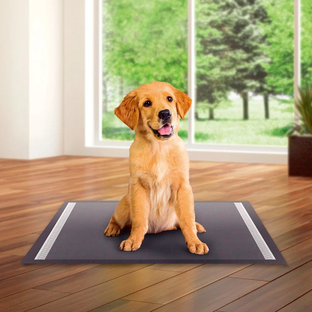 Large Charcoal Puppy Training Pads 22x22 Inches 50 Count Leakproof Absorbent Odor Neutralizing Quick Drying Built-In Attractant