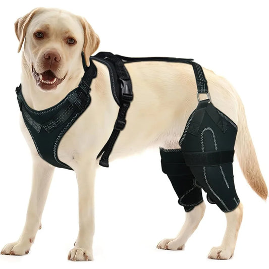 Free Delivery - Dog Knee Brace for ACL Support - Stabilizing Patella, Arthritis&Joint Pain Relief - Breathable Supportive Fabric