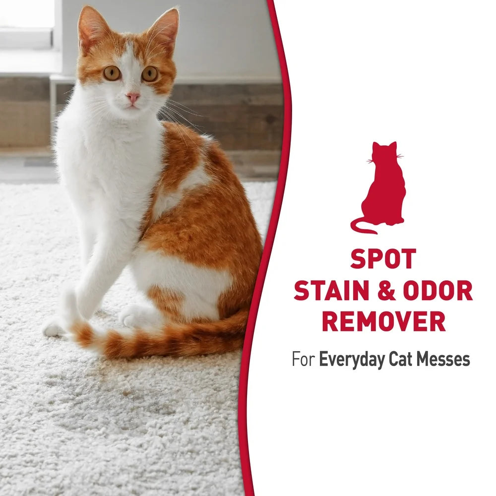 Enzymatic Stain Odor Remover Cats Multi Surface Cleaner with Light Citrus Scent Safe Pets 32 oz Spray