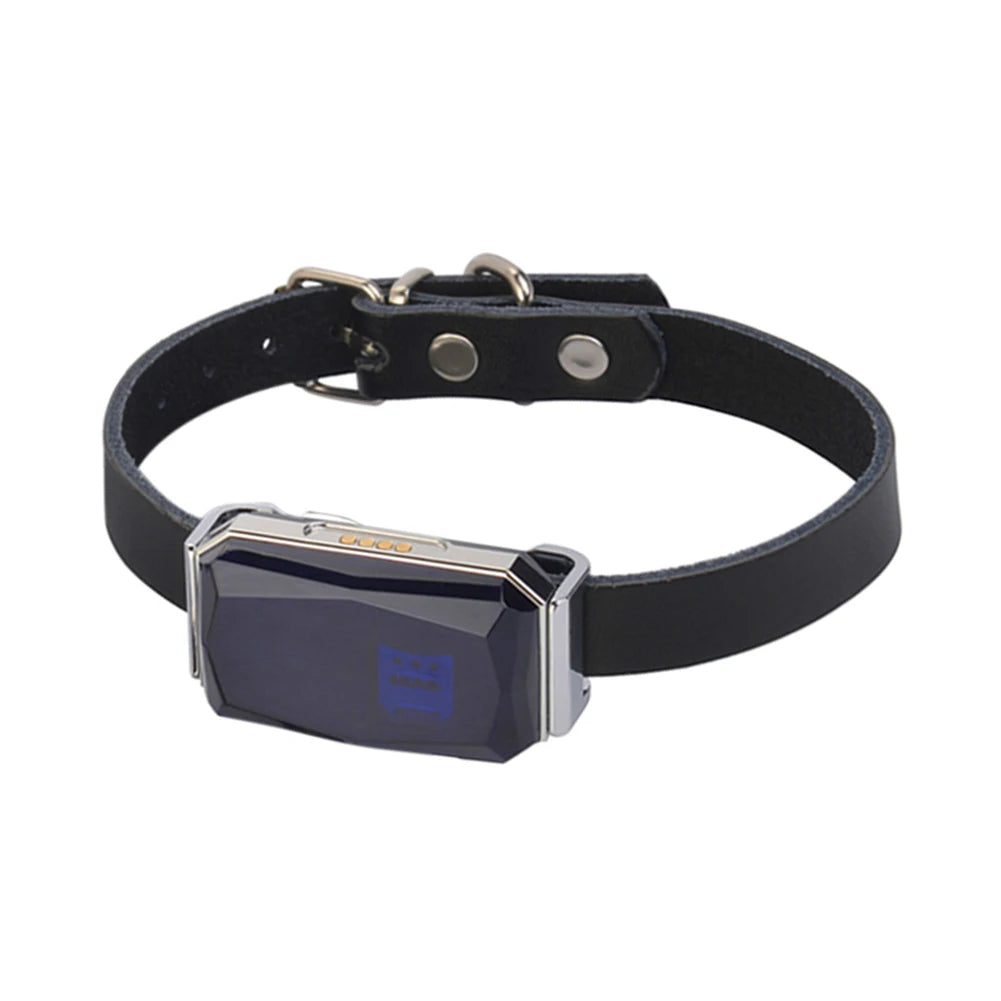G12 Collar Pet Tracking Locator Wearable Smart GPS Dog Collar Waterproof IP67 Anti-lost Record Multifunctional for Kids Elderly