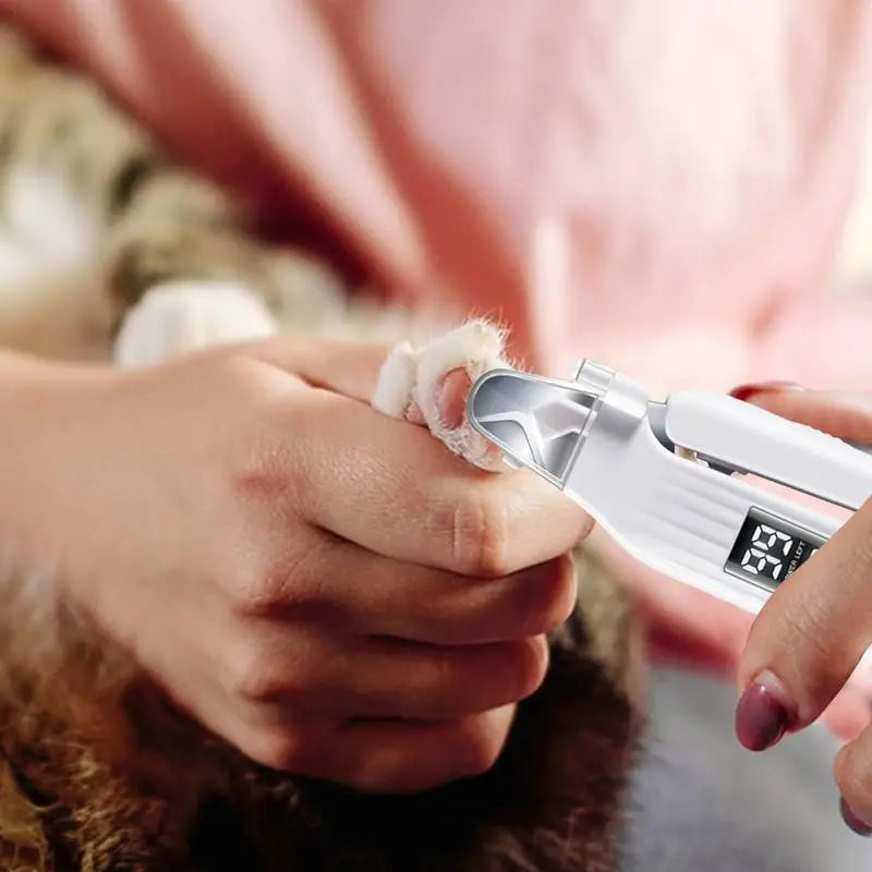 Pet Paws Trimmer Electric Rechargeable Dog Nail Trimmer With LED Light Ergonomic Pet Paws Grooming Tool Quiet File Toenail