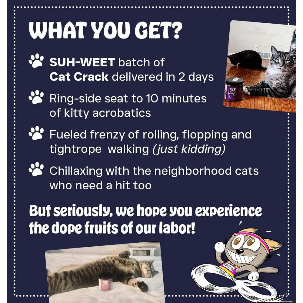 100% Natural Catnip Blend North American Made Non-GMO Cat Treats Inducing Zoomies Safe Non-Addictive Fresh Acrobatic Feline Fun