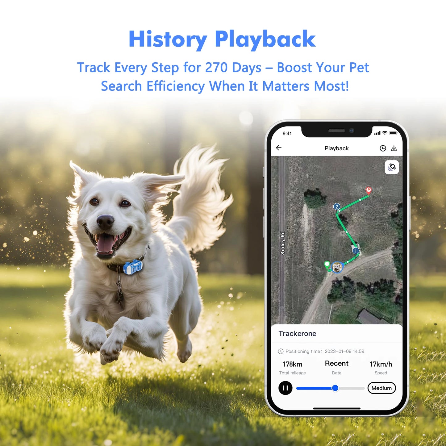 ‌4G Dogs &  Cats GPS Tracker  - Waterproof Smart Locator with App, Live Tracking & Light/Sound Search, Free Trial Included