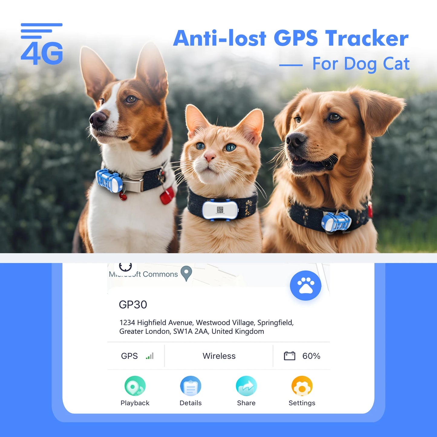 ‌4G Dogs &  Cats GPS Tracker  - Waterproof Smart Locator with App, Live Tracking & Light/Sound Search, Free Trial Included