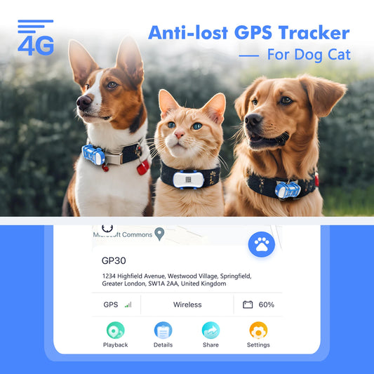 ‌4G Dogs &  Cats GPS Tracker  - Waterproof Smart Locator with App, Live Tracking & Light/Sound Search, Free Trial Included