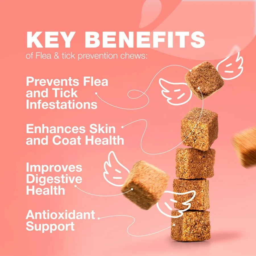 Flea Treatment for Cats Daily Oral Cat Flea and Tick Treatment Chews Chewable Kitten Flea Treatment Soft Treats for All Breeds