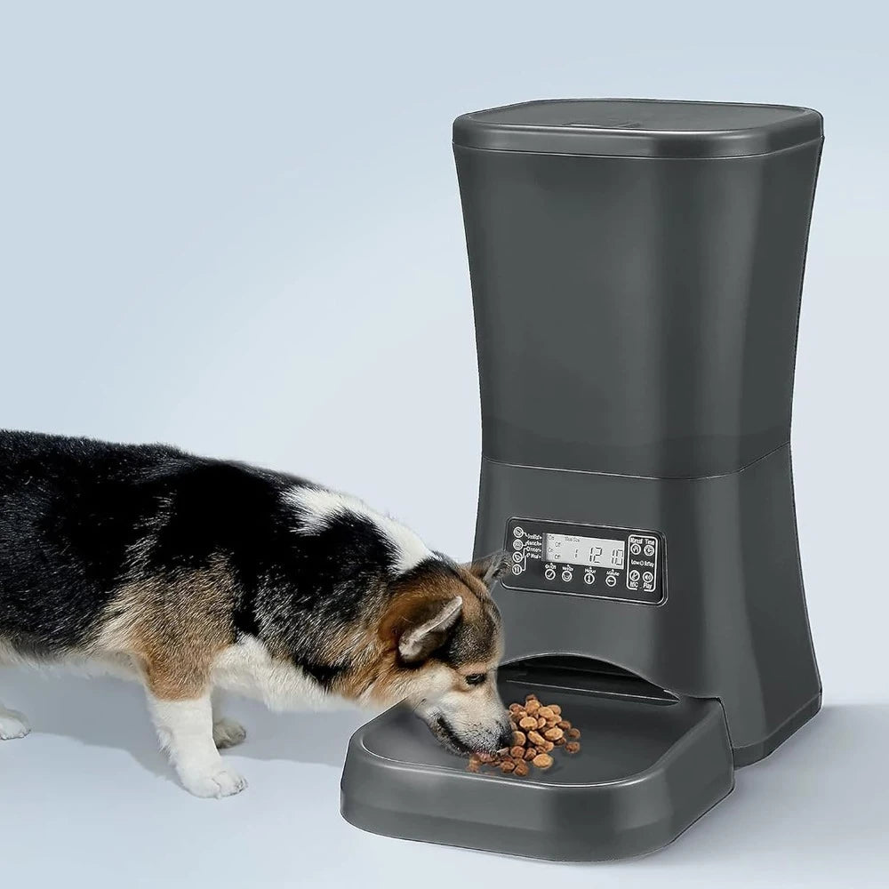 9L Dog Feeders for Large Dogs, Automatic Dog Feeder with Timer Extra Large, Programmable Auto Pet Food Dispenser Feeder