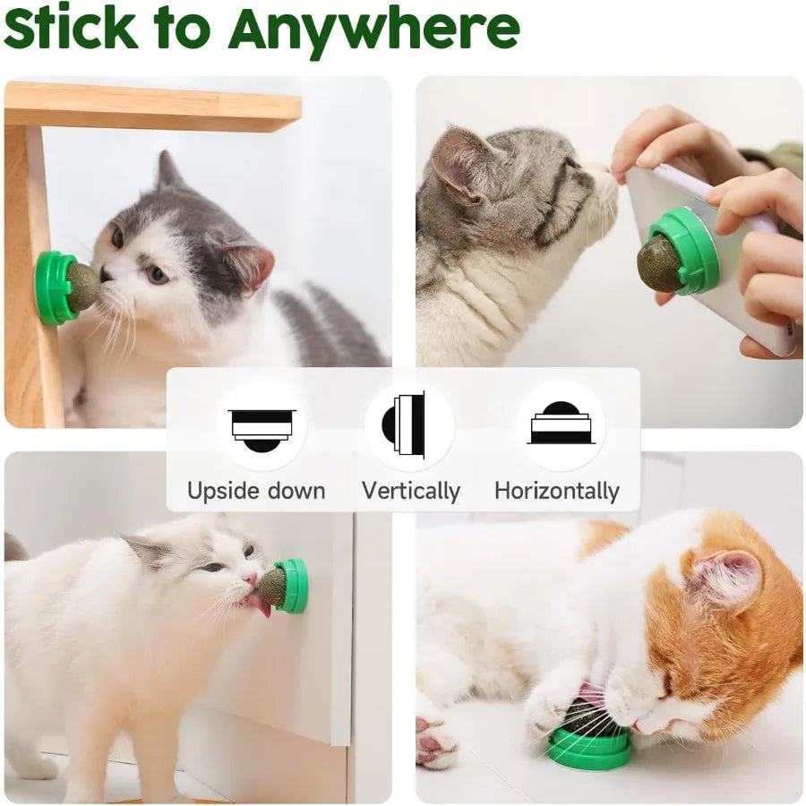 Catnip Toys Balls 4 Pcs Extra Cat Energy Ball Edible Kitten Silvervine Toys for Cats Lick Healthy Kitty Teeth Cleaning Dental C
