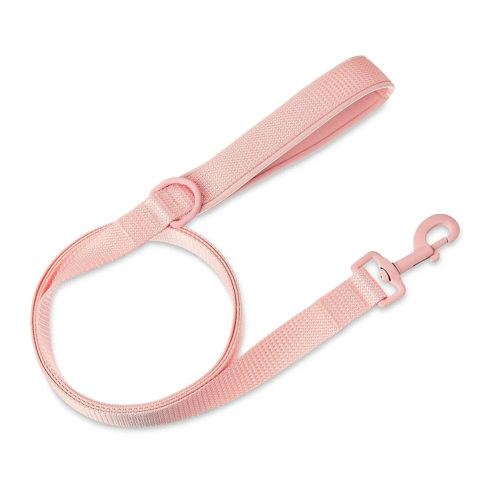 Neoprene Cushioned Dog Leash 6ft Medium Large Dogs Comfortable Hold Ideal Walking Training Outdoor Use