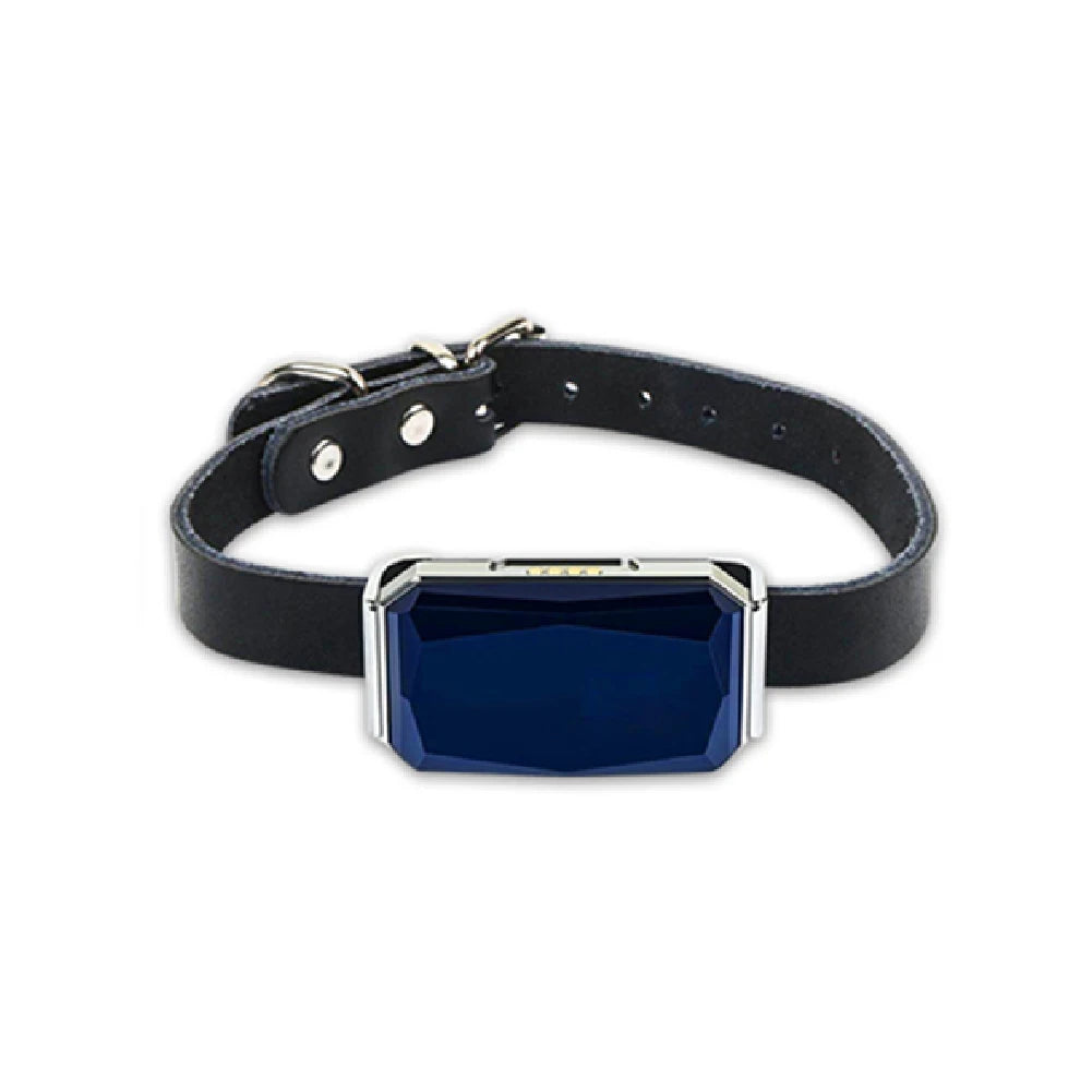 G12 Collar Pet Tracking Locator Wearable Smart GPS Dog Collar Waterproof IP67 Anti-lost Record Multifunctional for Kids Elderly