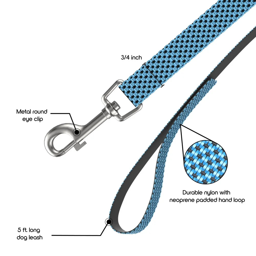 2 Pack Anti Shock Padded Dog Leash 5ft Bungee Tension Reducing Heavy Duty Clasp Comfortable Grip Ideal Medium Large Dogs