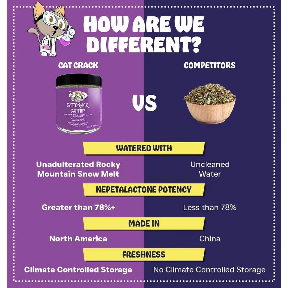 100% Natural Catnip Blend North American Made Non-GMO Cat Treats Inducing Zoomies Safe Non-Addictive Fresh Acrobatic Feline Fun