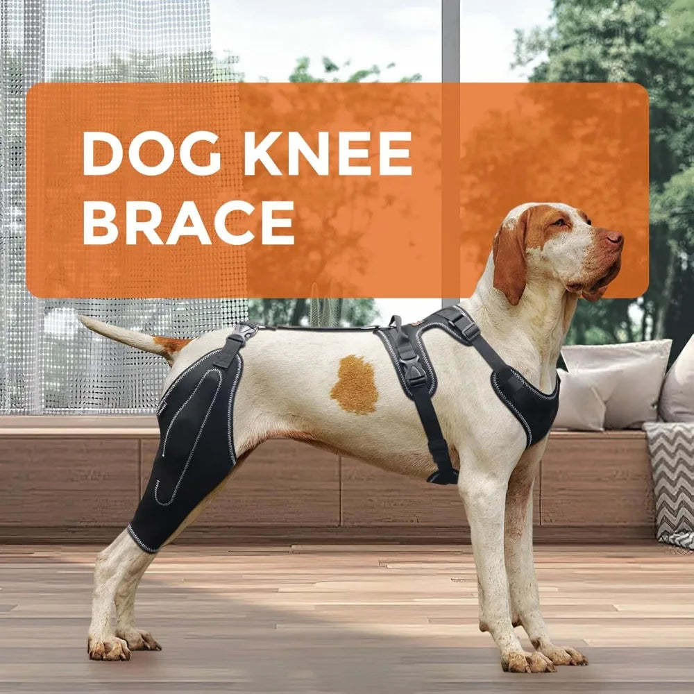 Free Delivery - Dog Knee Brace for ACL Support - Stabilizing Patella, Arthritis&Joint Pain Relief - Breathable Supportive Fabric