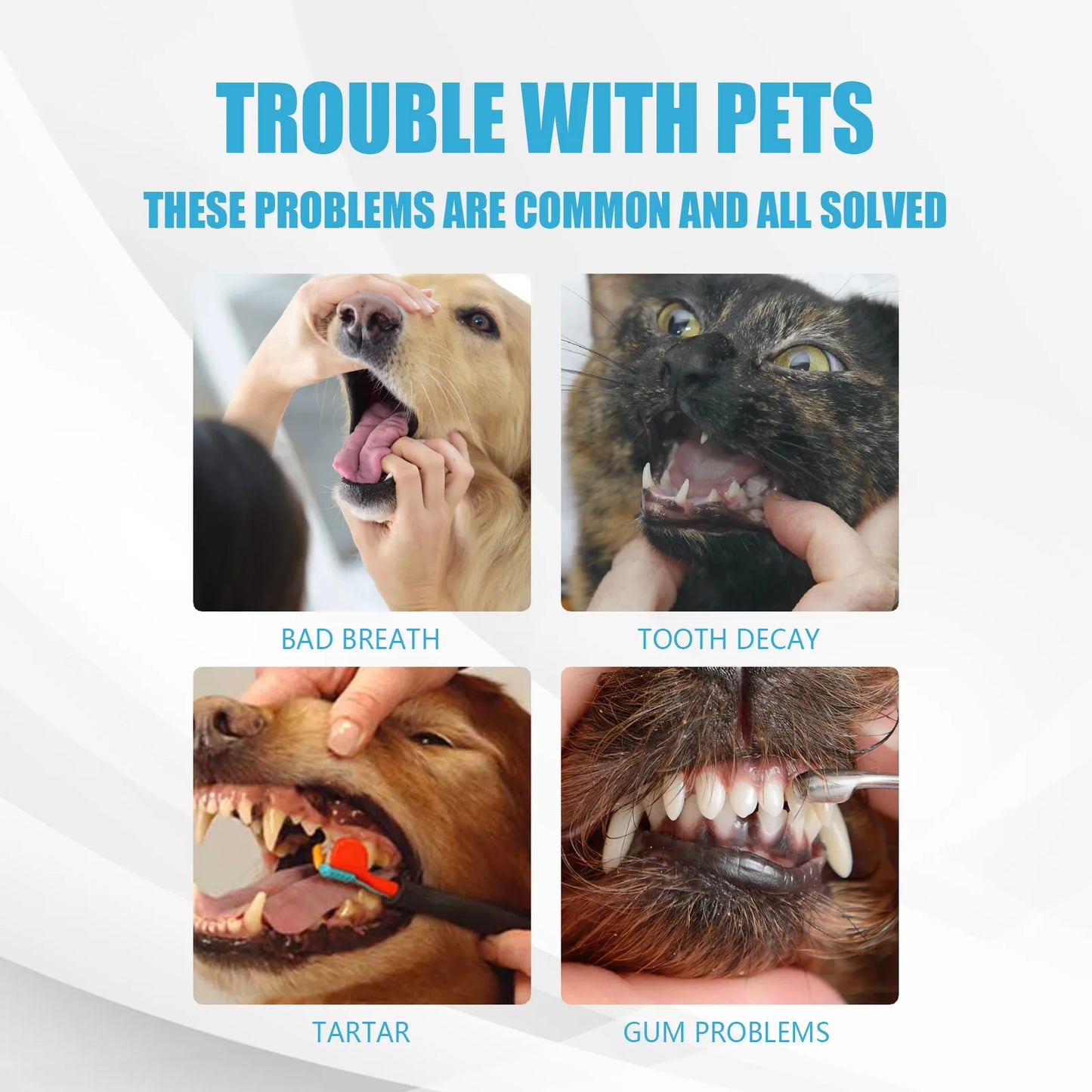 Pet Toothpaste Removes Plaque Freshens Breath  Whitens Fights Cavities Bad Breath Removes Plaque Tartar Oral Care for Dogs Cats