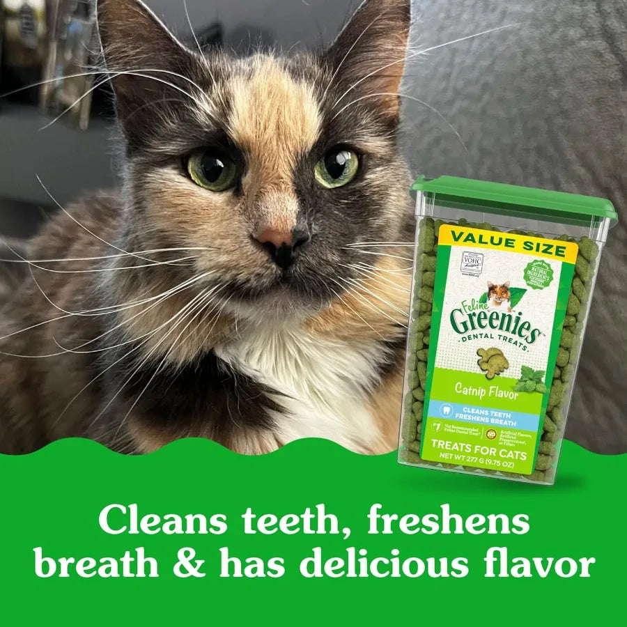 Feline Adult Dental Cat Treats Catnip Flavor 9.75 oz. Tub