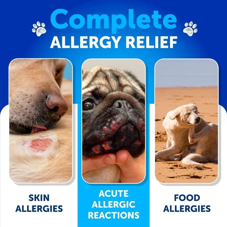 Dog Allergy Relief Chews Itching Skin Relief for Dogs Fish Oil Omega 3 Seasonal Allergies Pills Skin Coat Anti ItchHot Spots Tr