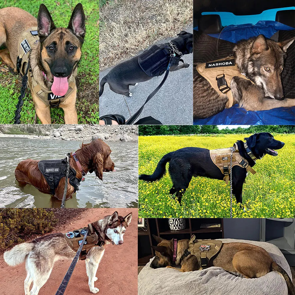 5Pcs Large Dog Harnesses Pet German Shepherd Malinois Training Walking Vests Dog Harness For Medium Large Dogs Accessories
