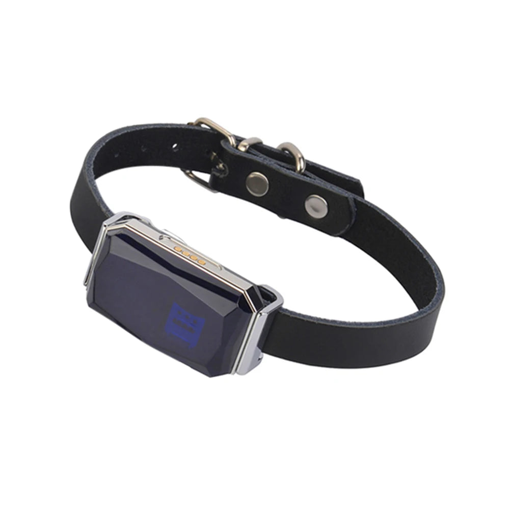 G12 Collar Pet Tracking Locator Wearable Smart GPS Dog Collar Waterproof IP67 Anti-lost Record Multifunctional for Kids Elderly